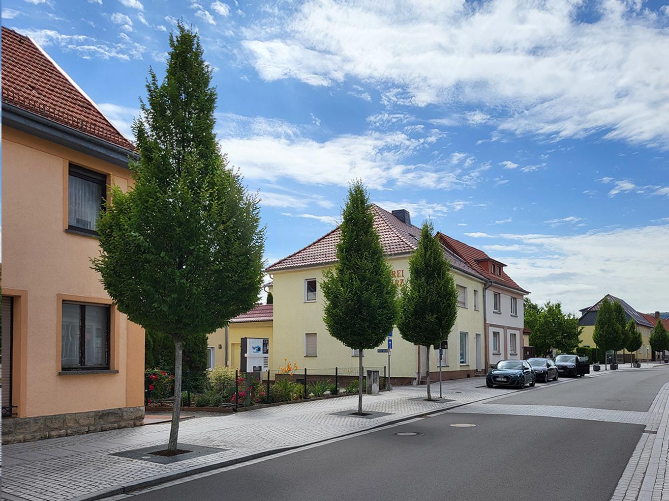 Referenz: Hauptstrasse, Niederorschel, Baumstandorte mit RootSpace 2025