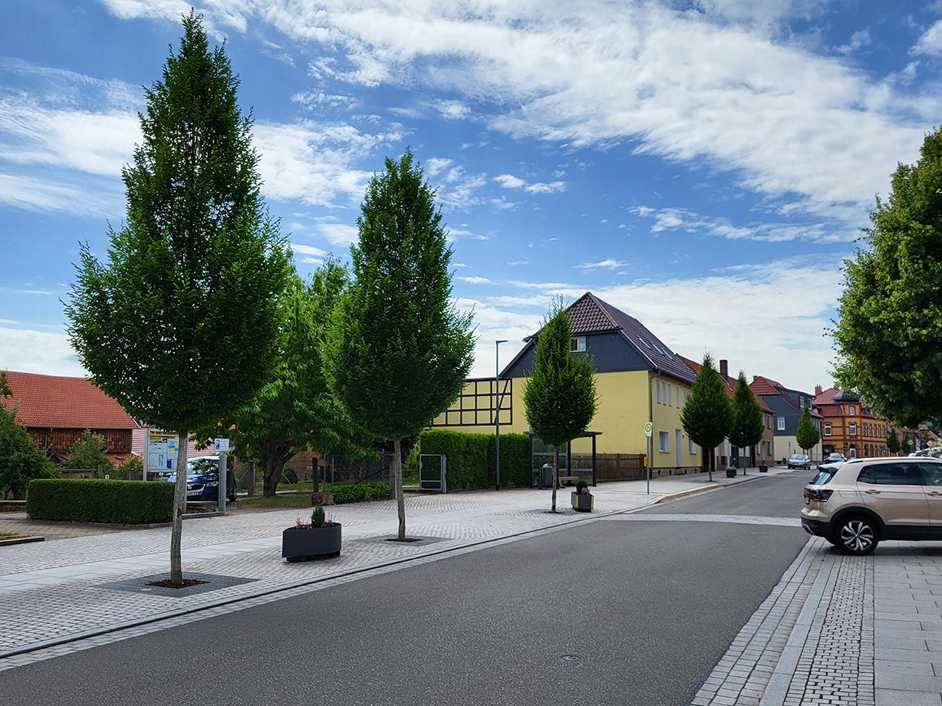 Referenz: Hauptstrasse, Niederorschel, Baumstandorte mit RootSpace 2025