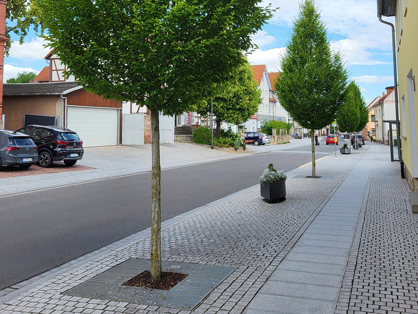 Referenz: Hauptstrasse, Niederorschel, Baumstandorte mit RootSpace 2025