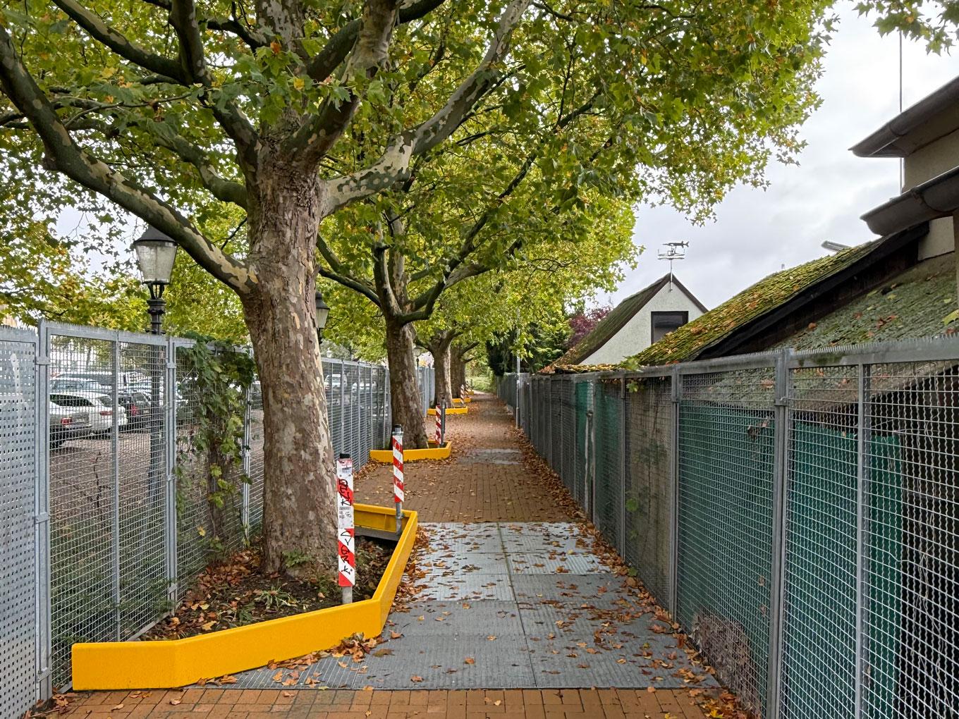 Referenz: Ringgleis, Braunschweig, Radweg mit ArborGrid Wurzelbrücke