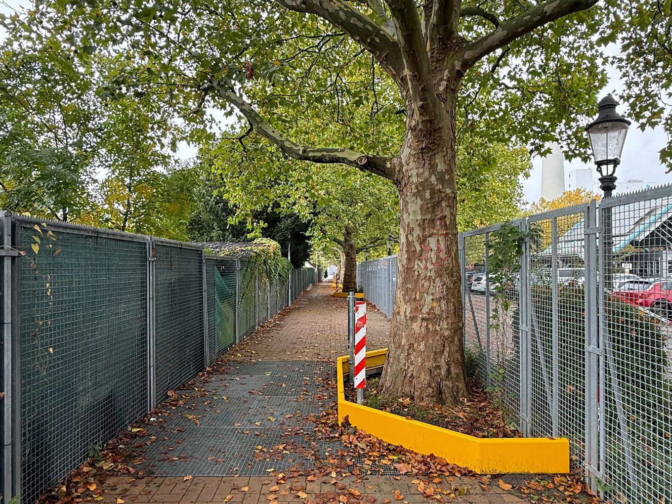 Referenz: Ringgleis, Braunschweig, Radweg mit ArborGrid Wurzelbrücke