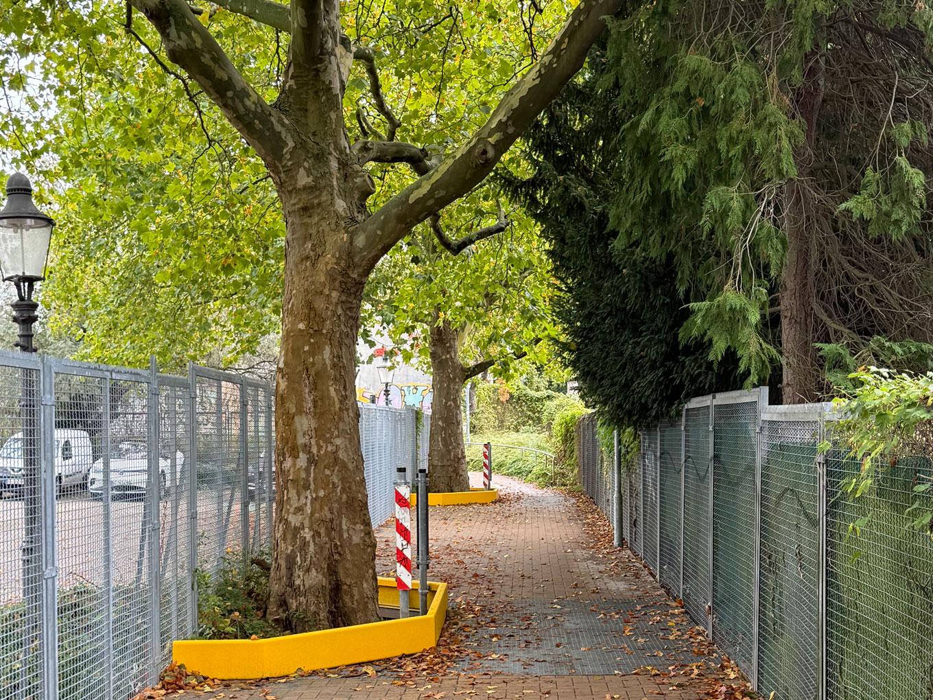 Referenz: Ringgleis, Braunschweig, Radweg mit ArborGrid Wurzelbrücke