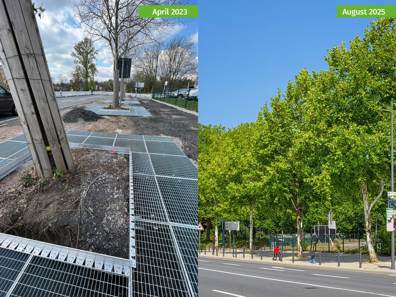 Referenz: Strobelallee, Dortmund, ArborGrid Wurzelbrücken