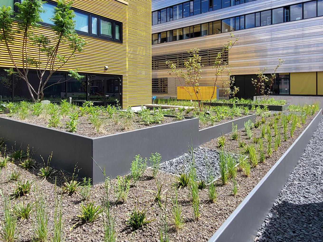 Referenz: ZDD, Düsseldorf, Shape Hochbeete