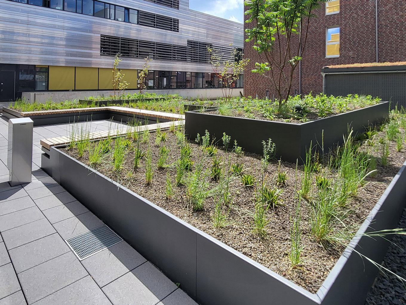 Referenz: ZDD, Düsseldorf, Shape Hochbeete