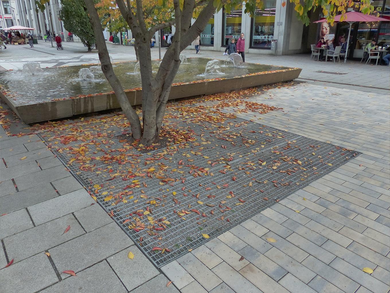 Referenz: Rosenhof Chemnitz, ArborGrid Wurzelbrücke in offener Bauweise