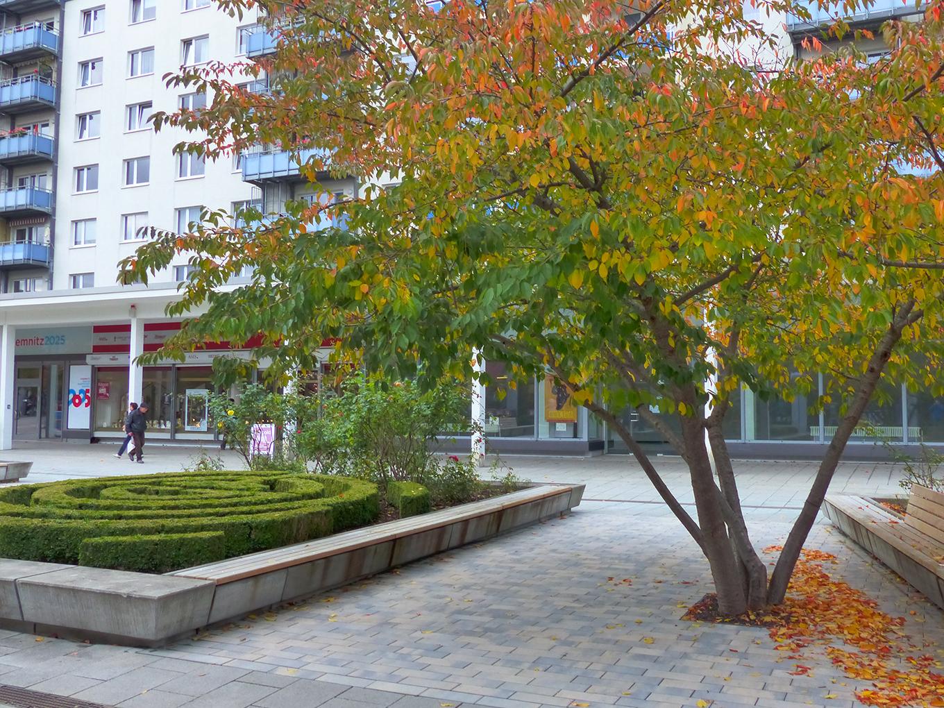 Referenz: Rosenhof Chemnitz, ArborGrid Wurzelbrücke in überbauterBauweise