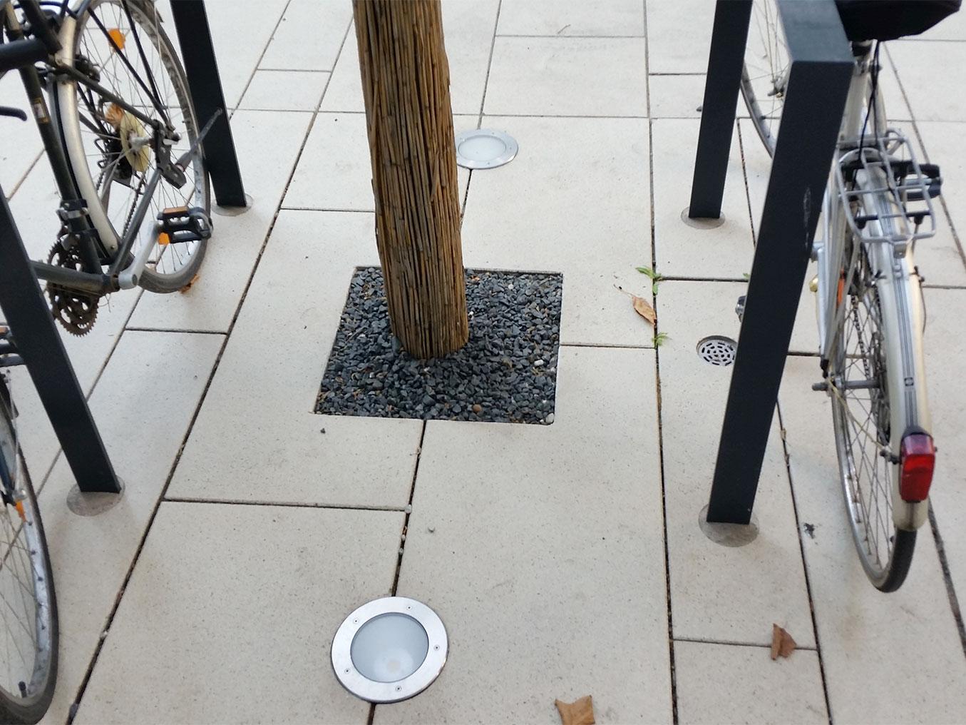 Referenz: Maintor, Frankfurt, Baumrost Aland