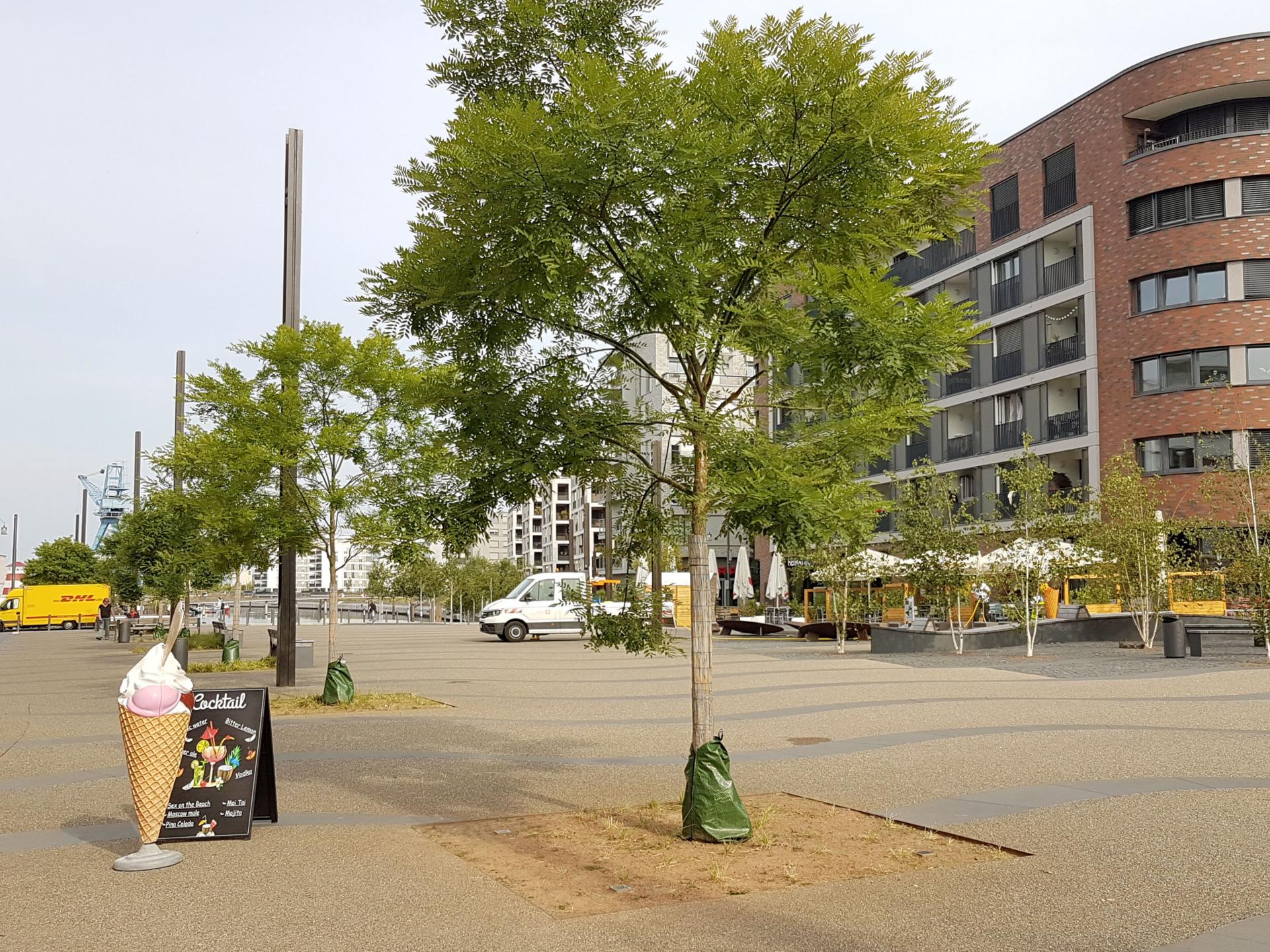 Referenz: Hafenplatz , Offenbach