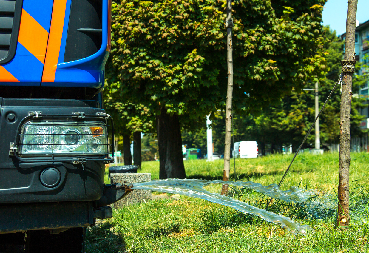 Manuelle Bewässerung von Bäumen mit Gießwagen