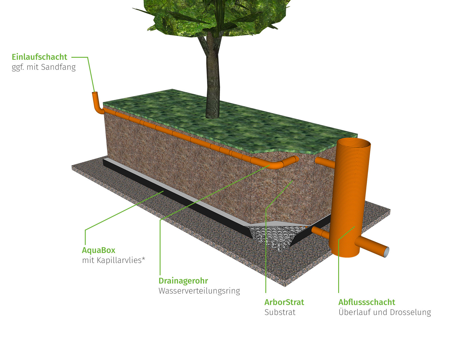 ArborFlow - Baumrigole für unbefestigte Oberflächen zur Be- und Entwässerung