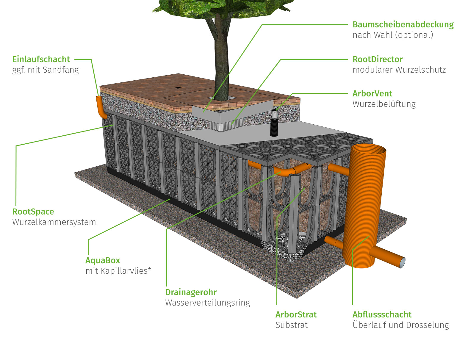 ArborFlow – Baumrigole für befestigte Oberflächen zur Be- und Entwässerung