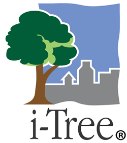 iTree Software