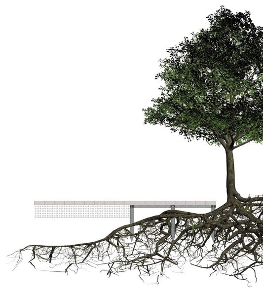 ArborGrid Wurzelbrücke zum Schutz von Bestandsbäumen